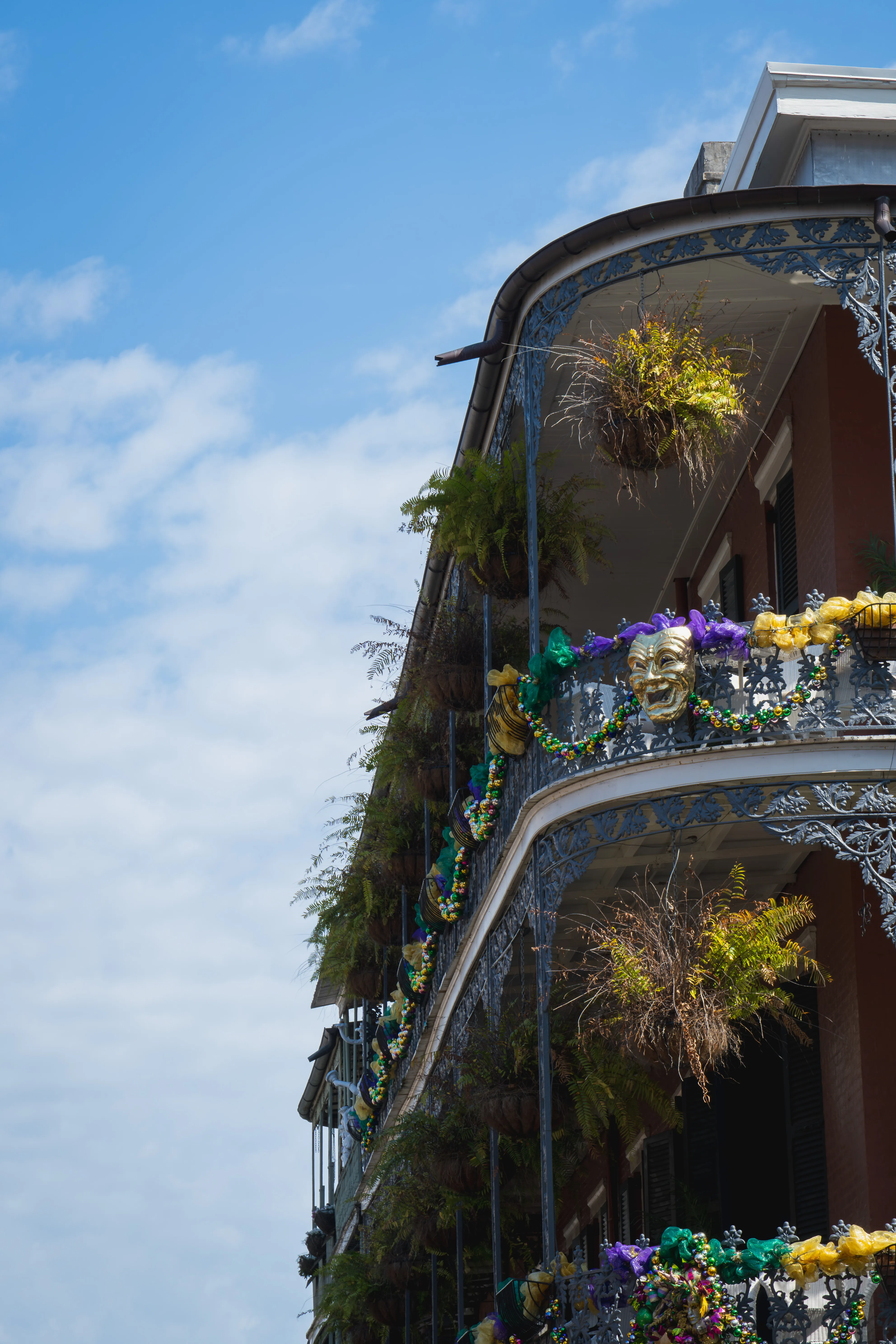 Mardi Gras Beads